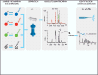Example MeCAT Workflow