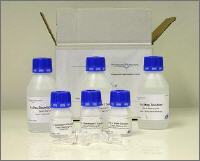 FireSilver staining kit